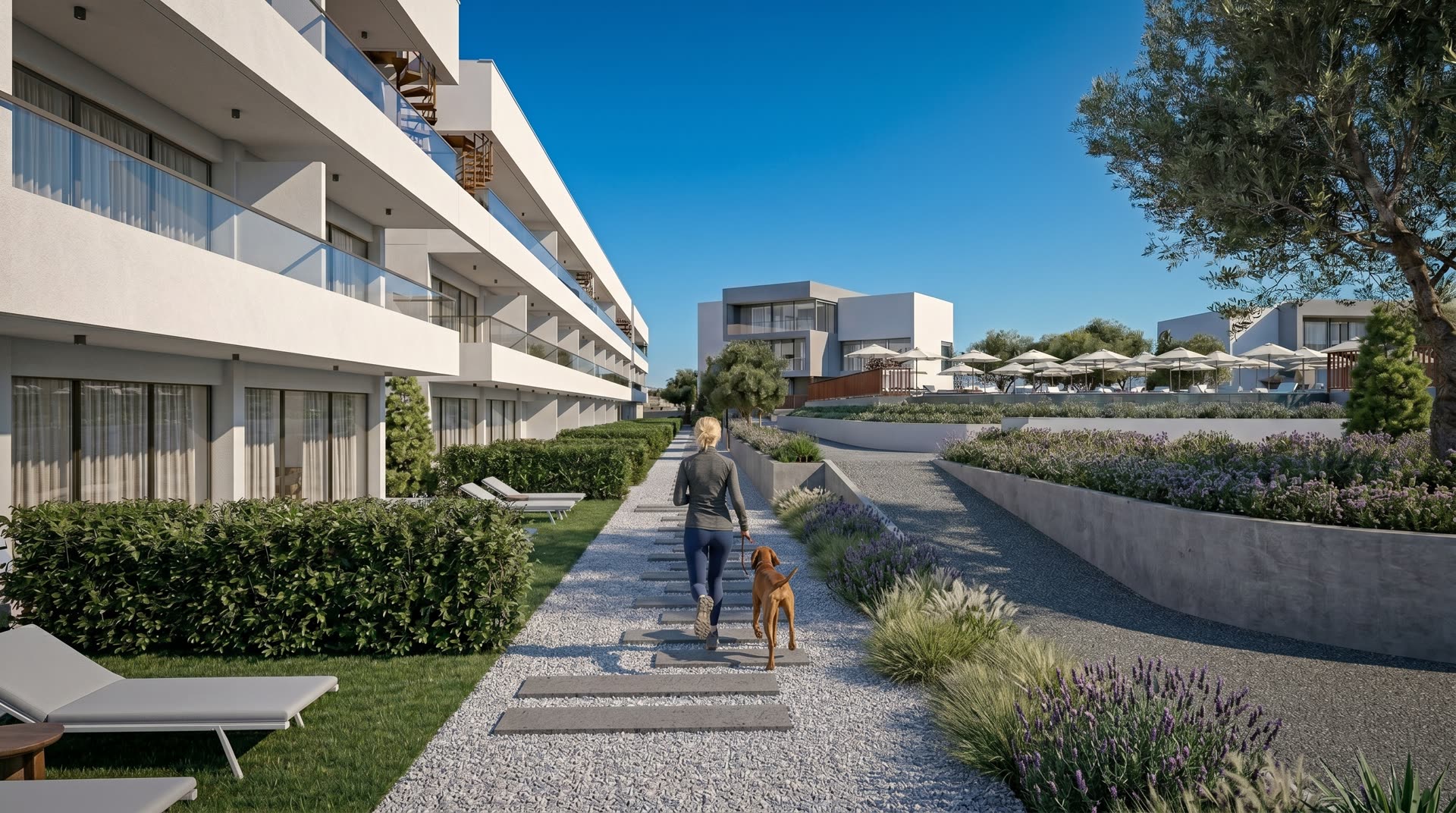 The Court render 46